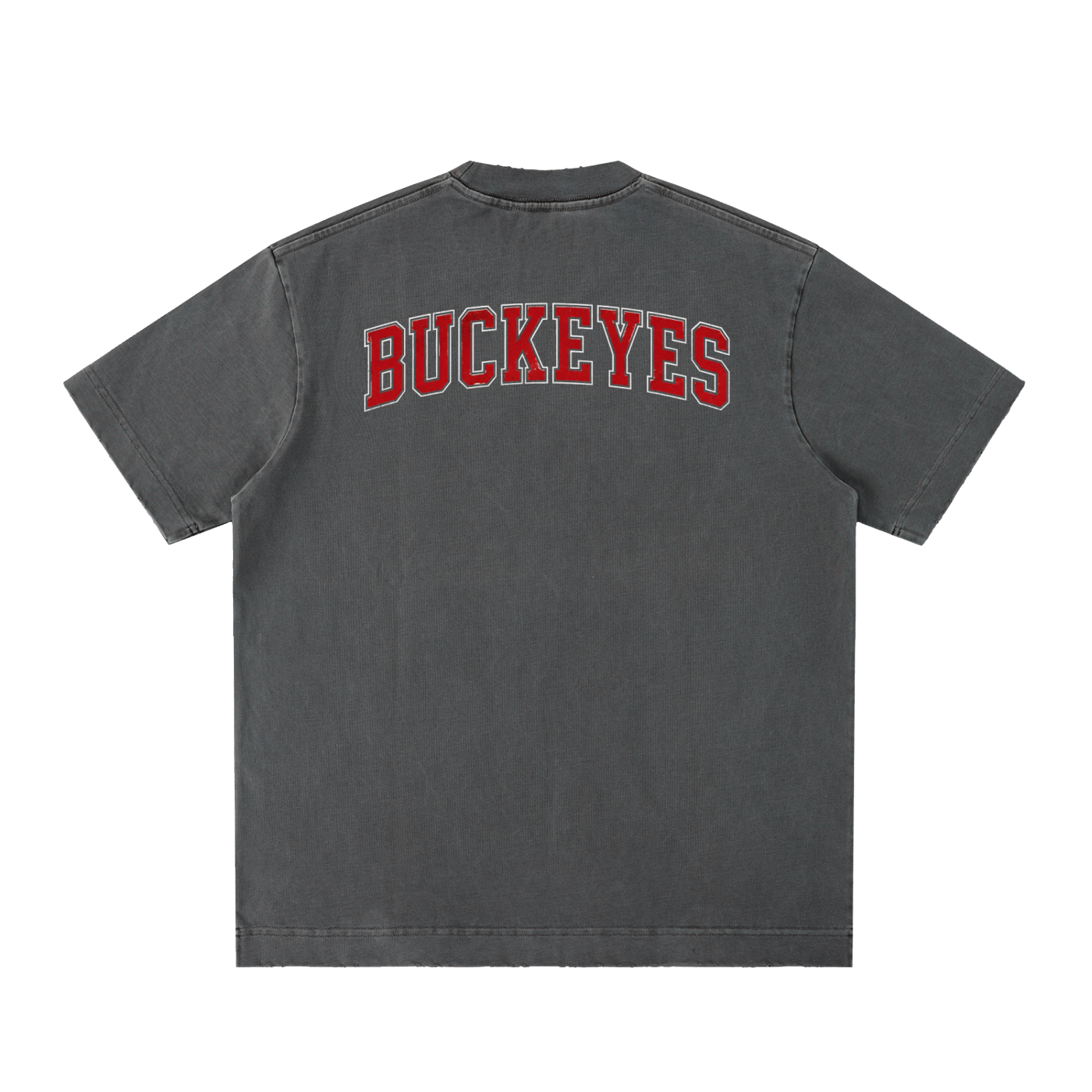 Vintage Washed Ohio Frayed T-Shirt