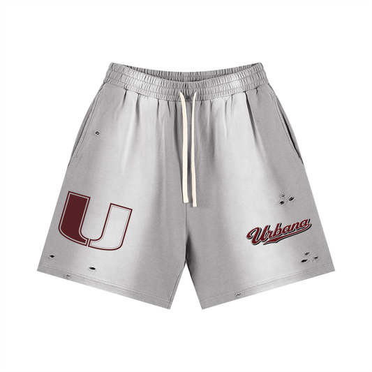 Sun Fade Distressed Shorts