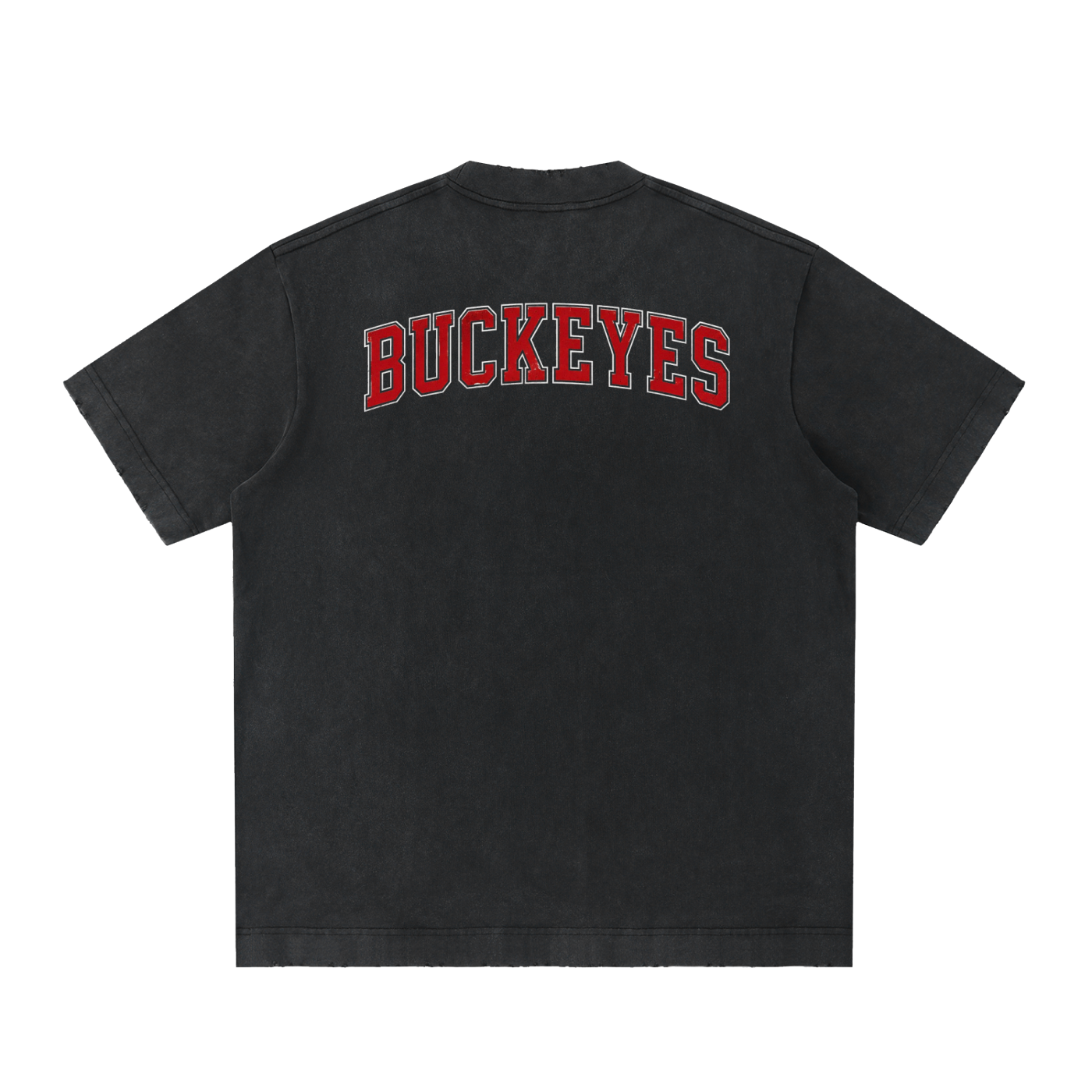 Vintage Washed Ohio Frayed T-Shirt